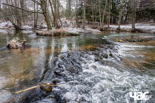 6/6 _belarus_islacz_paroh_pryroda_zima_les_2025_fota_novy_czas__6_.jpg