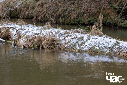 3/4 _belarus_islacz_pryroda_zima_les_2025_fota_novy_czas__3_.jpg