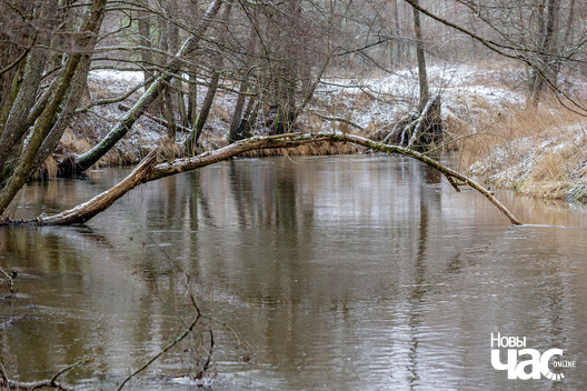 1/4 _belarus_islacz_sneh_pryroda_zima_les_2025_fota_novy_czas__1_.jpg