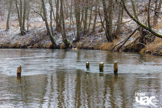 1/6 _belarus_islacz_snehapad_pryroda_zima_les_2025_fota_novy_czas.jpg