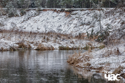 7/8 _belarus_islacz_szpacyr_pryroda_zima_les_2025_fota_novy_czas__6_.jpg