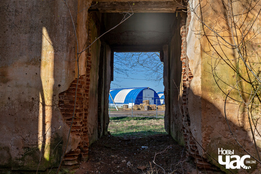 3/5 _belarus_kamsamolskaja_carkva_pracjah_2025_fota_novy_czas__2_.jpg