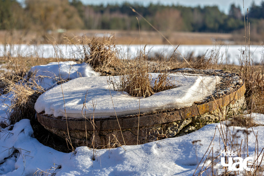 1/6 _belarus_kraina_haradok_vjasna_2025_fota_novy_czas__1_.jpg
