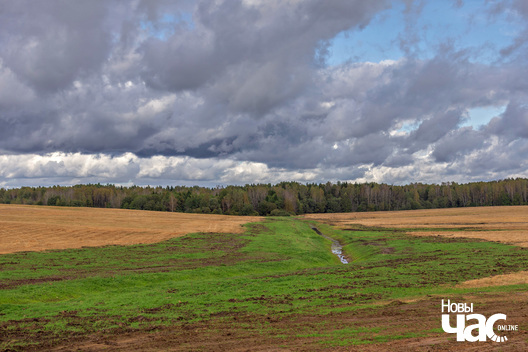 1/7 _belarus_krajavid_pole_neba_vosen_2025_fota_novy_czas__1_.jpg