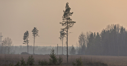 Афрыканскі смог у Беларусі. Сакавіцкія краявіды (ФОТА)