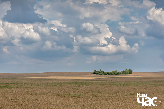 1/3 _belarus_krajavidy_zniven_berascejszczyna_2025_fota_novy_czas___1_.jpg