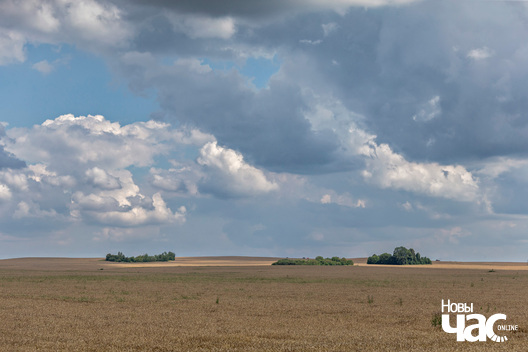 2/3 _belarus_krajavidy_zniven_berascejszczyna_2025_fota_novy_czas___2_.jpg