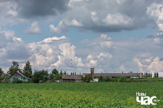 3/3 _belarus_krajavidy_zniven_berascejszczyna_2025_fota_novy_czas___3_.jpg