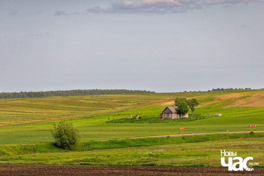 1/3 _belarus_leta_czerven_pali_2025_fota_novy_czas.jpg