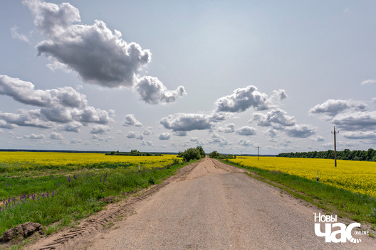 2/5 _belarus_leta_czerven_raps_pracjah_2_2025_fota_novy_czas__2_.jpg