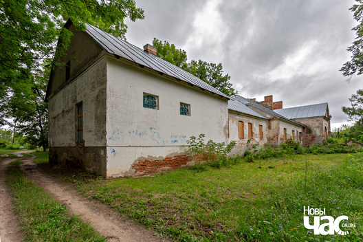 4/9 _belarus_linova_sjadziba_2025_fota_novy_czas__4_.jpg