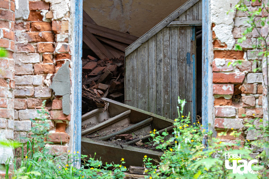 9/9 _belarus_linova_sjadziba_2025_fota_novy_czas__9_.jpg