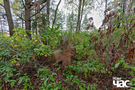 1/5 _belarus_milkun_kryzy_2025_fota_novy_czas__1_.jpg