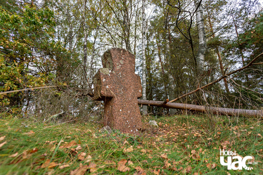 4/5 _belarus_milkun_kryzy_2025_fota_novy_czas__4_.jpg