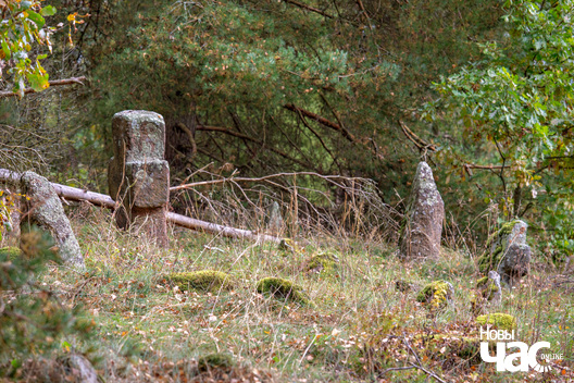 5/5 _belarus_milkun_kryzy_2025_fota_novy_czas__5_.jpg