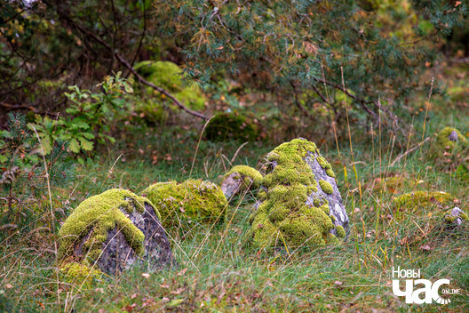 6/6 _belarus_milkun_kryzy_pracjah_2025_fota_novy_czas__6_.jpg