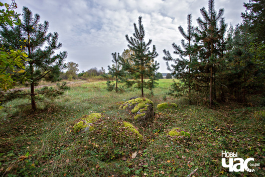 1/5 _belarus_milkun_valuny_2025_fota_novy_czas.jpg