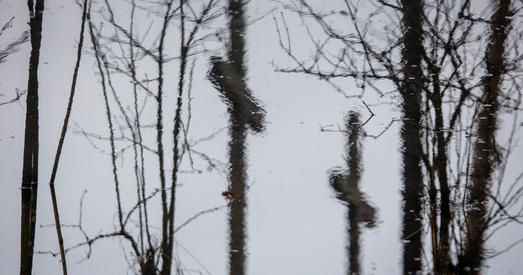 Чаму Караеў кажа пра 1947 года і маўчыць пра 1930-я?