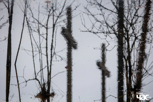 Ілюстрацыйная выява, Курапаты Ілюстрацыйная выява, Курапаты