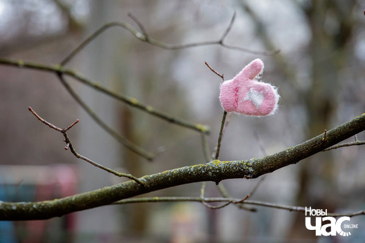 1/4 _belarus_minsk_bulvar_fota_ncz__3__logo.jpg
