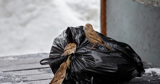 Чаму беларускім дзяржаўным прадпрыемствам не прабіцца да сэрцаў і кашалькоў еўрапейцаў?