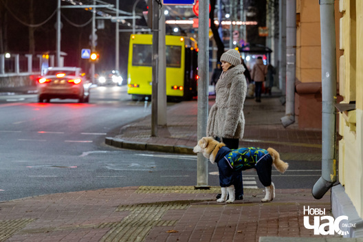 4/5 _belarus_minsk_horad_veczar_szpacyr_pracjah_1_2024_fota_novy_czas__3_.jpg