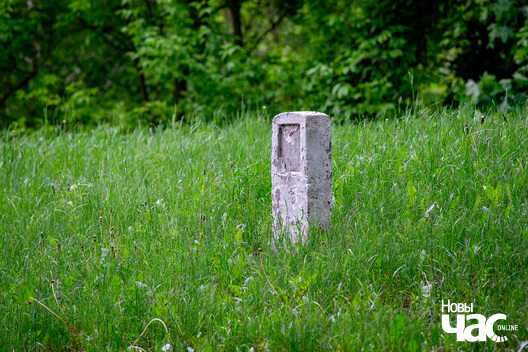 6/6 _belarus_minsk_horad_vjasna_pracjah_2025_fota_novy_czas__5_.jpg