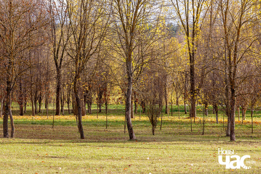 4/7 _belarus_minsk_horad_vosen_pracjah_2025_fota_novy_czas__3_.jpg