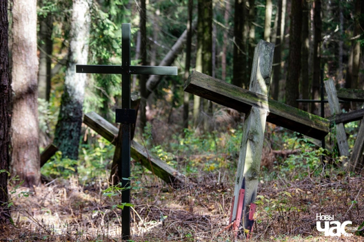 Ілюстрацыйная выява, Курапаты Ілюстрацыйная выява, Курапаты