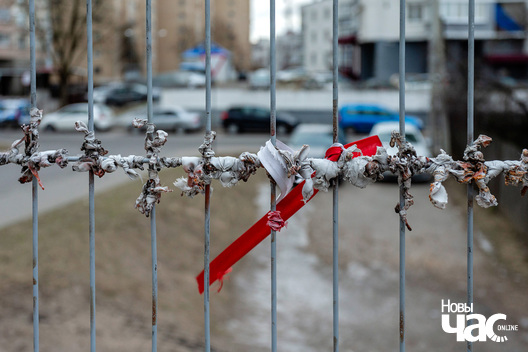1/3 _belarus_minsk_pamjac_pp_fota_ncz_logo.jpg