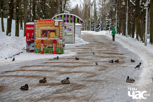 4/8 _belarus_minsk_park_horkaha_zima_pracjah_2023_fota_novy_czas__3__logo.jpg