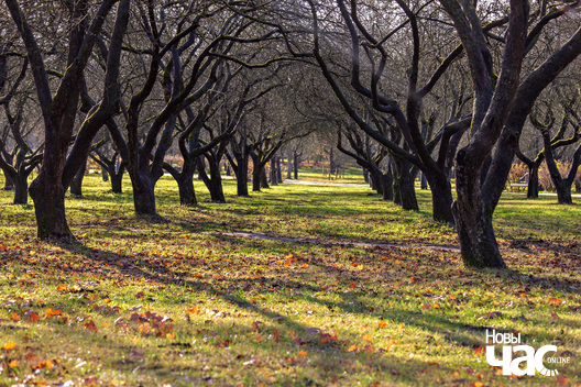 3/6 _belarus_minsk_park_loszyca_vosen_2025_fota_novy_czas__3_.jpg