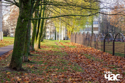 23/23 _belarus_minsk_paudnjovy_zahad_osen_fota_dzmitryeu_dzmitry_novy_czas__15__logo.jpg