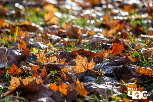 10/23 _belarus_minsk_paudnjovy_zahad_osen_fota_dzmitryeu_dzmitry_novy_czas__22__logo.jpg