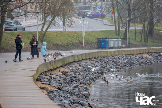 1/5 _belarus_minsk_svislacz_ptuszki_snezan_2025_fota_novy_czas__1_.jpg