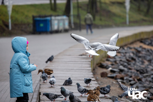 3/5 _belarus_minsk_svislacz_ptuszki_snezan_2025_fota_novy_czas__3_.jpg