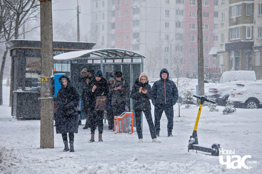 3/10 _belarus_minsk_vjasna_sneh_sakavik_2023_fota_novy_czas__15__logo.jpg
