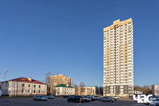 3/6 _belarus_minsk_zjaljony_luh_4_szpacyr_2024_fota_novy_czas__2_.jpg