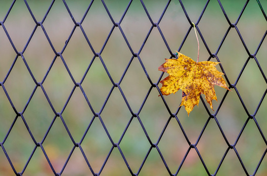 2/7 _belarus_msciz_vjoska_2025_fota_novy_czas__1_.jpg