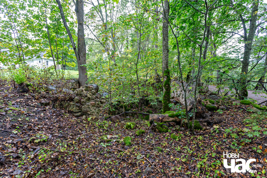 4/7 _belarus_msciz_vjoska_2025_fota_novy_czas__3_.jpg