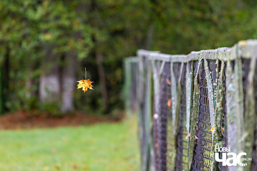 7/7 _belarus_msciz_vjoska_2025_fota_novy_czas__6_.jpg