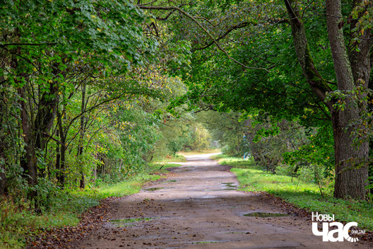 3/4 _belarus_msciz_vosen_2025_fota_novy_czas__2_.jpg