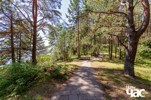 4/11 _belarus_naracz_pasjolak_scjozka_2024_fota_novy_czas__3_.jpg