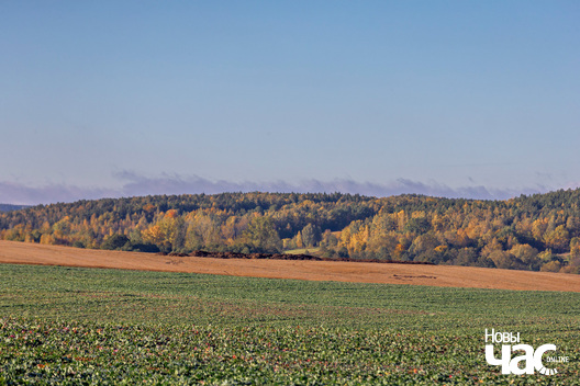 1/9 _belarus_navahradak_krajavidy_2023_fota_novy_czas__1__logo.jpg