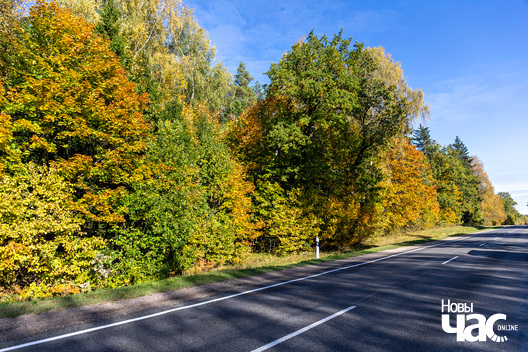 3/9 _belarus_navahradak_krajavidy_2023_fota_novy_czas__3__logo.jpg