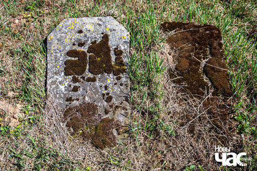 1/8 _belarus_navasjolki_mohilki_2025_fota_novy_czas.jpg