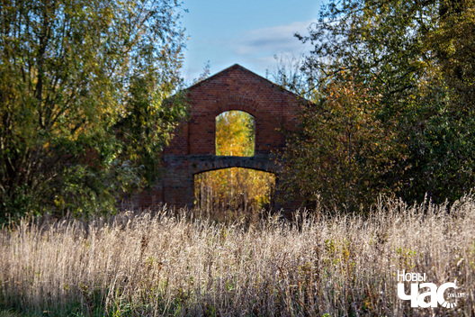 2/4 _belarus_paety_hadyka_2023_fota_novy_czas__2__logo.jpg