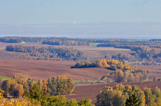 2/4 _belarus_paety_hartny_2023_fota_novy_czas__2__logo.jpg