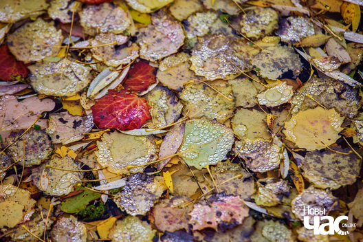 2/4 _belarus_paety_kljasztorny_2023_fota_novy_czas__2__logo.jpg