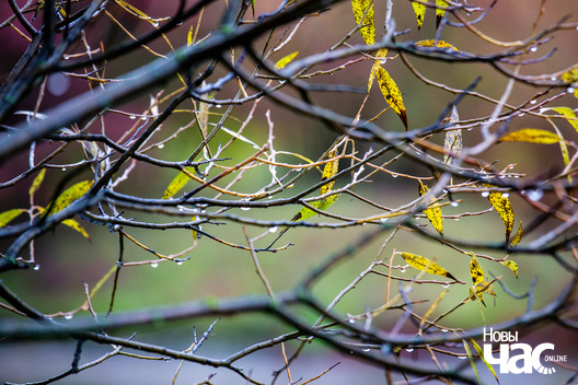 2/4 _belarus_paety_ljavonny_2023_fota_novy_czas__2__logo.jpg